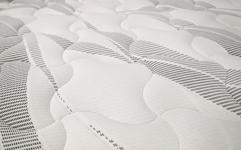 Monarch - Image 3