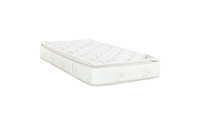 Posture Plus - Image 2